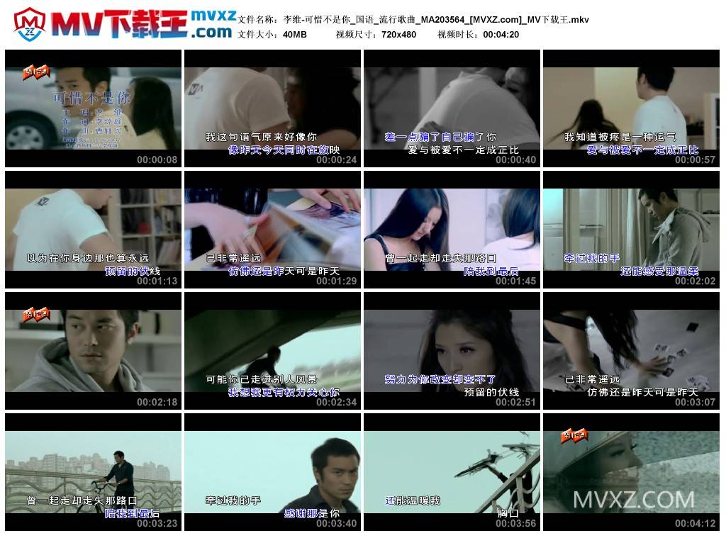 李维-可惜不是你_国语_流行歌曲_MA203564